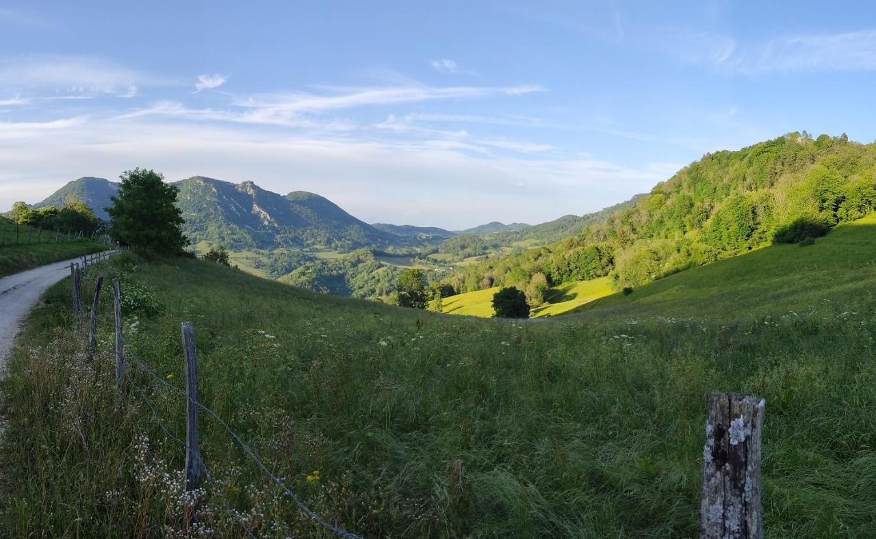 Apartmán L'Aristoloche Salins-les-Bains Exteriér fotografie