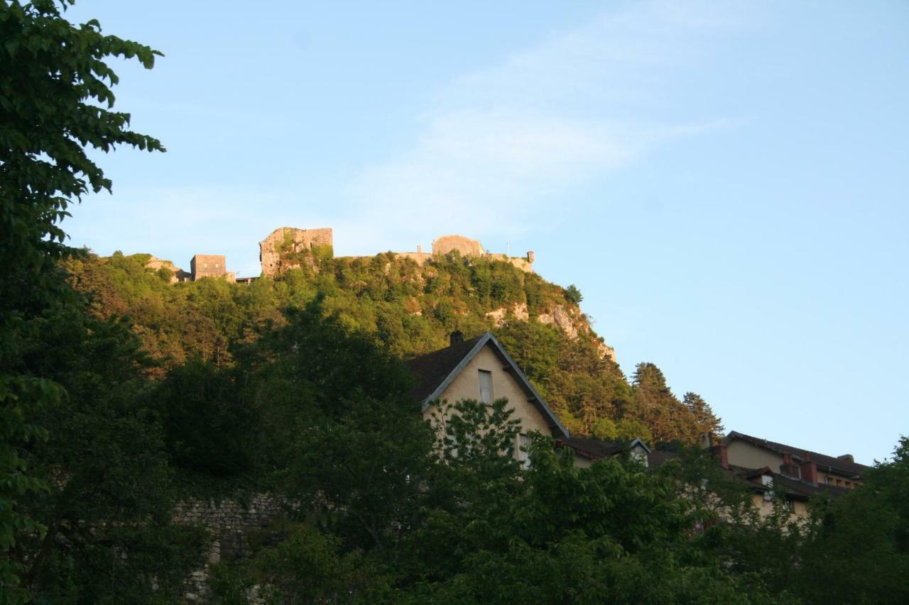 Apartmán L'Aristoloche Salins-les-Bains Exteriér fotografie